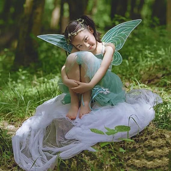 Adult fairy wings, shiny transparent princess wings Cosplay fairy wings costume Halloween costume