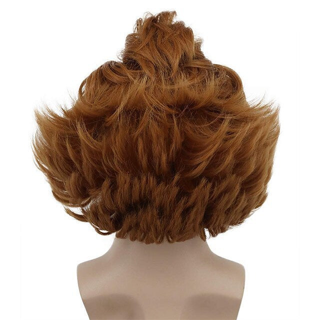 Anime cos European and American Stephen King's It pennywise peripheral Halloween Carnival Christmas wig sheath props